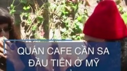 Quán cafe cần sa đầu tiên ở Mỹ mở cửa 