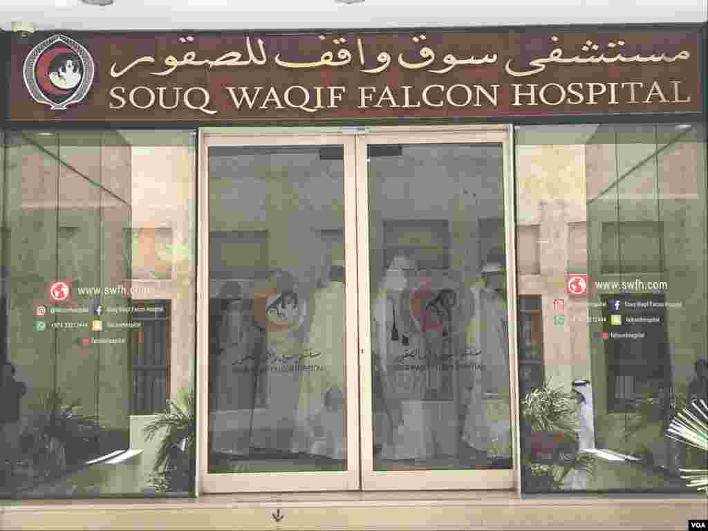 دوحہ کے بازار سوق واقف ميں بازوں کے علاج کے لیے اسپتال قائم ہے يہاں ماہر معالج موجود ہوتے ہیں اسی لیے لوگ باز کا علاج کرانے کے لیے اسی اسپتال کے ڈاکٹرز سے رجوع کرتے ہیں۔