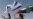 16x9 Image