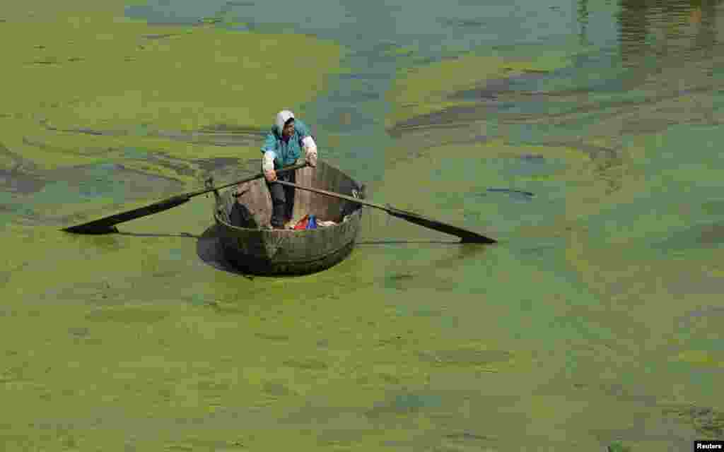Ngư dân chèo thuyền&nbsp;trong Sào Hồ đầy tảo xanh ở Hợp Phì, tỉnh An Huy, ngày 3/6/2013.