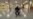 16x9 Image