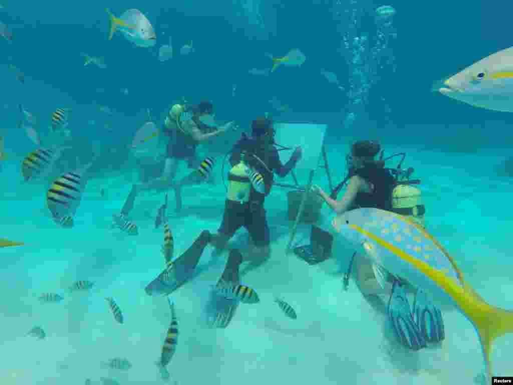 Cuban artist Sandor Gonzalez paints underwater for the media in Punta Perdiz, Cuba.