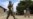 Police Deny IS Presence Near Mogadishu