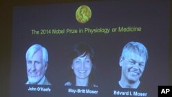 Pemenang Hadiah Nobel Bidang Kedokteran (dari kiri) ilmuwan Inggris-AS John O'Keefe, suami-istri ilmuwan Norwegia Edvard Moser dan May-Britt Moser ditampilkan pada layar presentasi pengumuman Majelis Nobel di Institut Karolinska, Stockholm, Swedia (6/10).