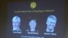 John O'Keefe (à g.), May-Britt Moser et son époux Edvard Moser, les lauréats du Nobel de médecine 2014 (AP) 