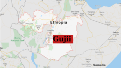 Gujii Bahaatti olloota Horsiisee bulaa hedduu shanee qallabdan jedhanii walti godaansisan jedha warrii lafaa