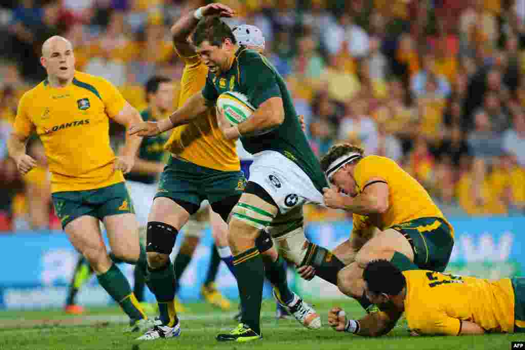 Pemain rugby Afrika Selatan Willem Alberts menjegal Michael Hooper dan Christian Leali&rsquo;ifano dari Australia pada sebuah pertandingan Kejuaraan Rugby di Stadion Suncorp di Brisbane, Australia.