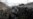 In Ukraine's Trenches, Strays Bring Respite to Russia-Wary Troops
