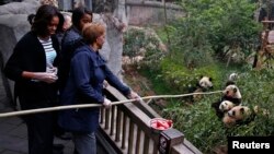 La Primera Dama, Michelle Obama, también visitó la reserva de osos panda en Chengdu, en su viaje a China durante el pasado mes de marzo.