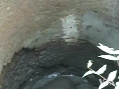 Baby Elephant Rescued From Well in Eastern India