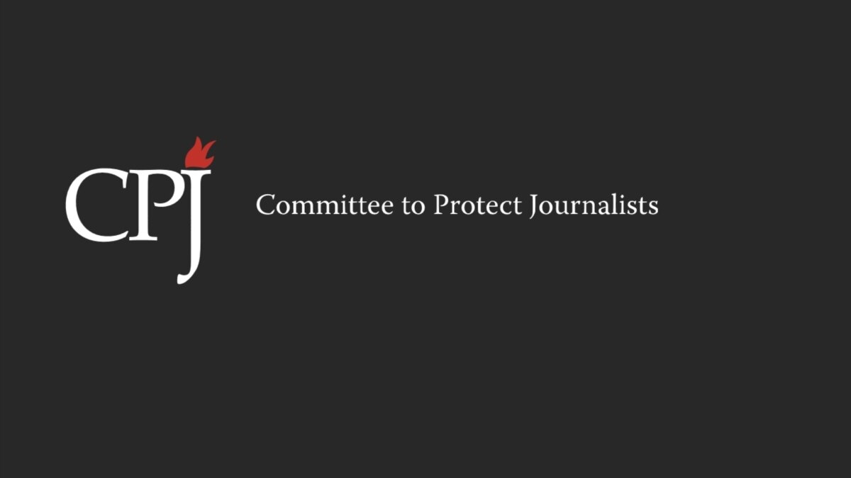 Protection international. Protection committee. Int картинка. Protection committee. Protection committee.