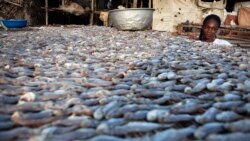 Bientôt un musée consacré à l'histoire culinaire du Bénin