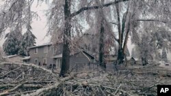 Ramas caídas y árboles cubiertos de hielo debido a una ola de frío, el 16 de enero de 2024 en Creswell, Oregon.