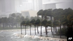 Ombak menghantam Biscayne Bay selagi Badai Irma berlalu, 10 September 2017, di Miami. 