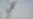 Libyan Rebels Again Lose Hold on Key Oil Town
