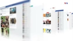 Սոցիալական մեդիան գործում է ի նպաստ, թե՞ ընդդեմ ժողովրդավարության