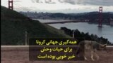 همه‌گیری جهانی کرونا برای حیات وحش خبر خوبی بوده است