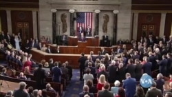 Gotara Salane ya Serok û Bersiva Demokratan