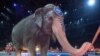 Ringling Bros. Circus to Halt Elephant Acts in May