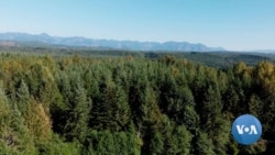 Internet Addicts Hit Restart at Unique Seattle Rehab 