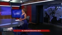 Studio Washington