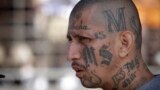 En esta fotografía, un miembro de la pandilla MS-13 asiste a misa en una prisión en Ciudad Barrios, El Salvador. Los fiscales federales creen que la MS-13, o Mara Salvatrucha, tiene miles de miembros en todo Estados Unidos, principalmente inmigrantes de Centroamérica.