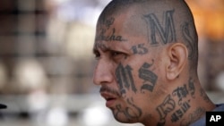 En esta fotografía, un miembro de la pandilla MS-13 asiste a misa en una prisión en Ciudad Barrios, El Salvador. Los fiscales federales creen que la MS-13, o Mara Salvatrucha, tiene miles de miembros en todo Estados Unidos, principalmente inmigrantes de Centroamérica.