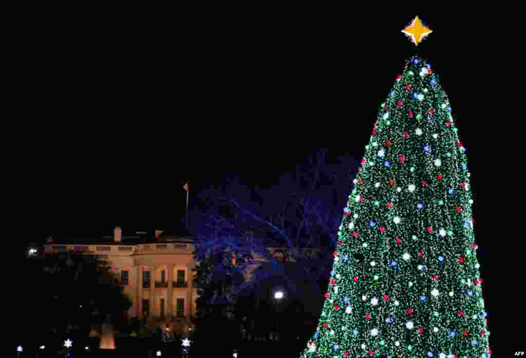 The National Christmas Tree is lit in front of the White House during the National Christmas Tree Lighting ceremony in Washington December 9. (Molly Riley/Reuters)