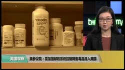 时事看台(易林)：美参议院：需加强邮政系统控制网售毒品进入美国