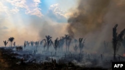 (ARCHIVO: Un área de selva tropical en llamas en la región de Apui, en la Amazonía brasileña, el 21 de septiembre de 2022.