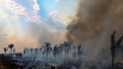  El calor extremo y la sequedad del clima sumen a Brasil en una emergencia climática marcada por los incendios
