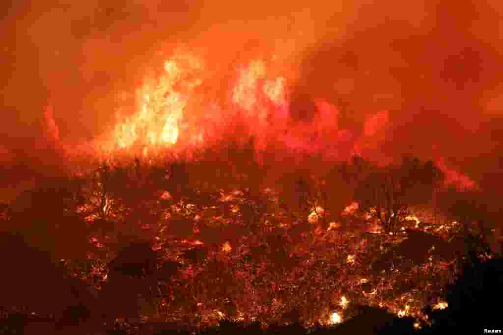 Flames rise near trees during a wildfire dubbed the Cave Fire burning in the hills of Santa Barbara, California, Nov. 26, 2019.