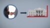 Still shot political transition explainer