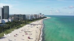 Une organisation bénévole aide à nettoyer les plages de Miami