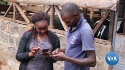 Kenya Taps Into Technology to Attract Young People to Farms