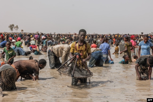 A young man carries his fishing net during the Sanke mon collective fishing rite in San, Sego Region on June 6, 2024. (Photo by OUSMANE MAKAVELI / AFP)