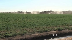 California’s Water System Not Created To Handle Current Drought