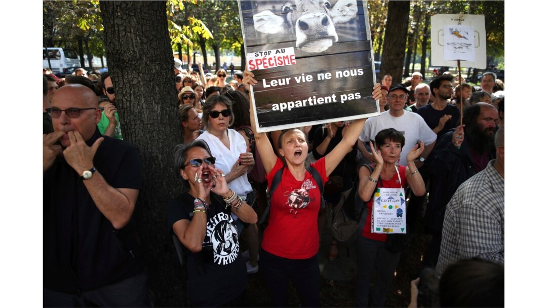 A woman holds up a banner saying ' Their life does not belong to us' during a demonstration against the wildfires in the Amazon outside the Brazilian embassy in Paris, Aug. 23, 2019.