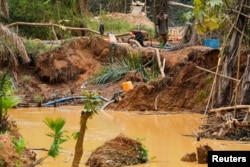 An illegal artisanal miner searches for gold in an excavated pit at the Prestea-Huni Valley Municipal District in the Western Region, Ghana August 17, 2024. (REUTERS/Francis Kokoroko)