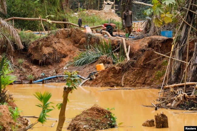 An illegal artisanal miner searches for gold in an excavated pit at the Prestea-Huni Valley Municipal District in the Western Region, Ghana August 17, 2024. (REUTERS/Francis Kokoroko)