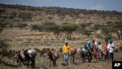 Des gens marchent vers une ville voisine où une distribution de nourriture est organisée par la Société de Secours du Tigray, dans le Tigray, le 8 mai 2021.