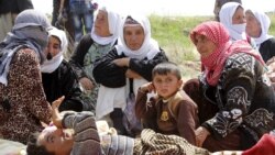 Yazidiylar dunyo madadiga muhtoj - Navbahor Imamova