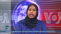 Shaqada hay'adda USAID oo hakad la geliyey