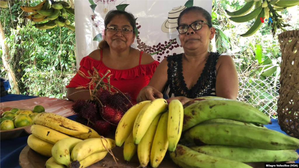 El proyecto de agricultura familiar sostenible del Canal de Panamá, ha integrado a las mujeres de la comunidades en tareas de cultivo y comercialización de los productos.