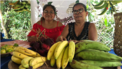  La ONU revela la injusticia del trabajo no renunerado para las mujeres
