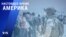 «Настоящее время. Америка» – 23 августа 2021