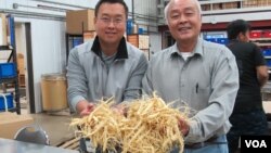 许氏花旗参集团总裁许忠政（右）