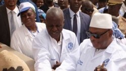 Mali, Burkina ani Codiwoire Jamana fanga nyemaw ka, nyongonye Sikasso