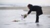 A woman puts flowers into the sea to pray for victims of the 2011 earthquake and tsunami in Sendai, northern Japan, March 11, 2016. 