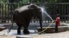 Un cuidador del zoológico rocía con un chorro de agua a Noor Jahan, una elefanta africana de 17 años, en el zoológico de Karachi, Pakistán, el 6 de abril de 2023. (ARCHIVO: REUTERS)